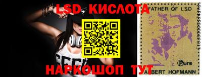 молекула духа Донской