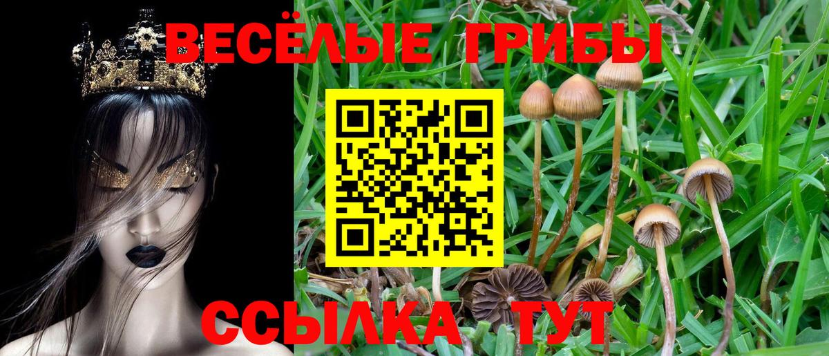 Трёхгорный  Галлюциногенные грибы мухоморы  Вход с VPN 